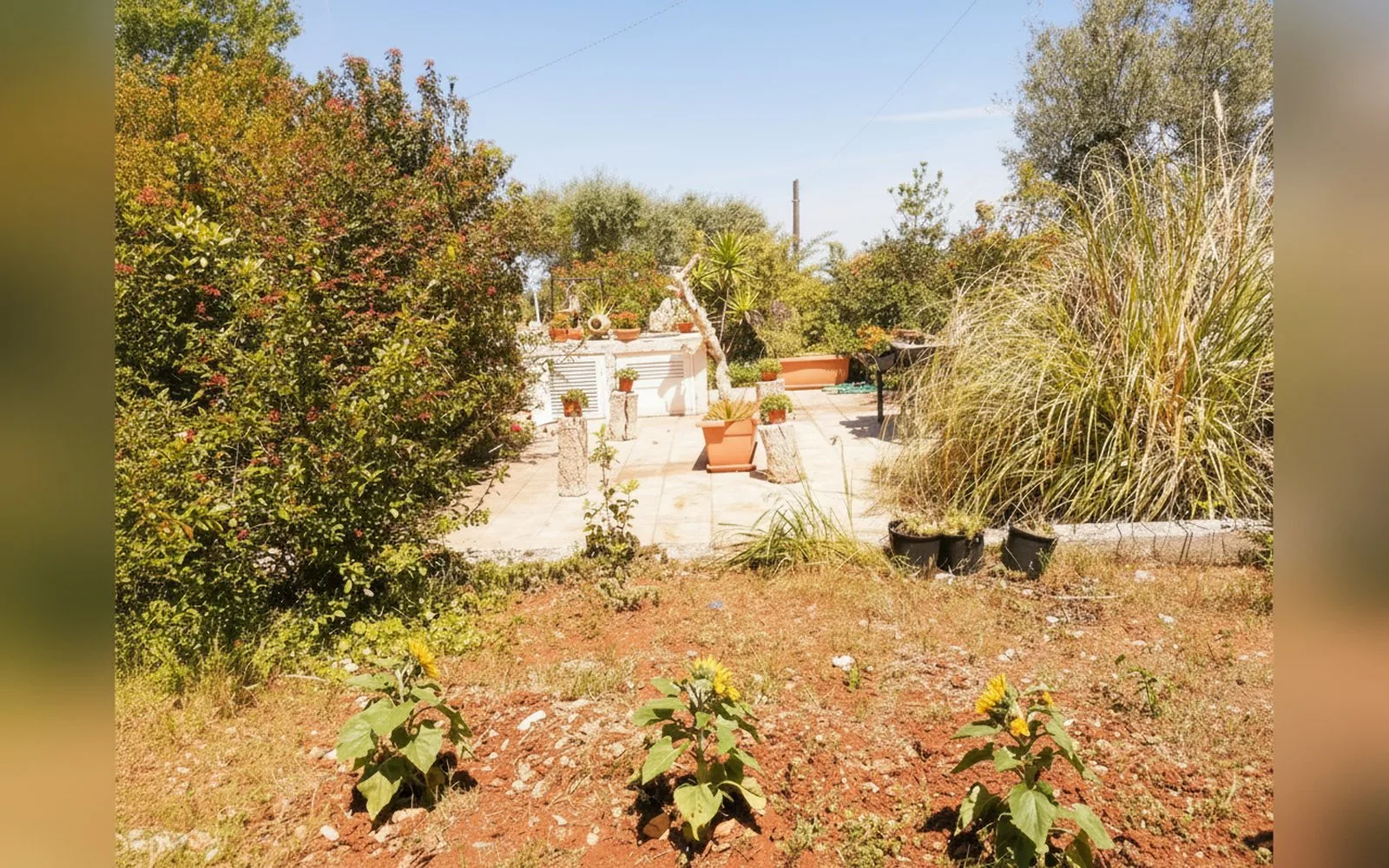 B&B L'Isola Felice,  — galleria foto 121