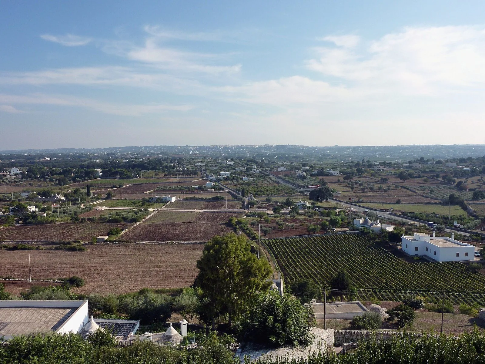 La campagna della Valle d'Itria vista dall'alto, con i trulli sparsi fra i campi